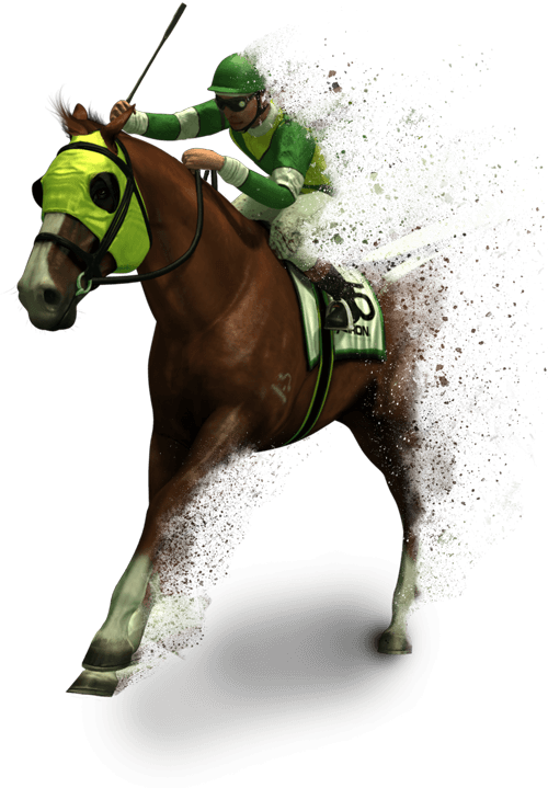 horse-racing-japan (1) 日本での競馬とスポーツくじ