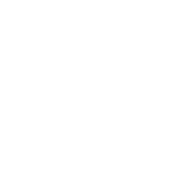 20歳以上